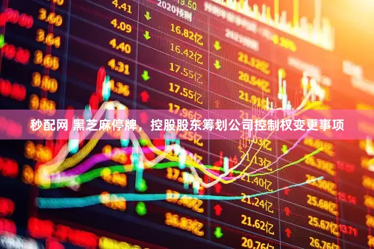 秒配网 黑芝麻停牌，控股股东筹划公司控制权变更事项