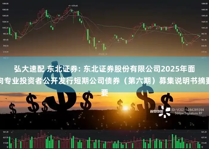 弘大速配 东北证券: 东北证券股份有限公司2025年面向专业投资者公开发行短期公司债券（第六期）募集说明书摘要