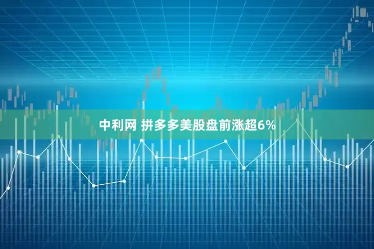 中利网 拼多多美股盘前涨超6%
